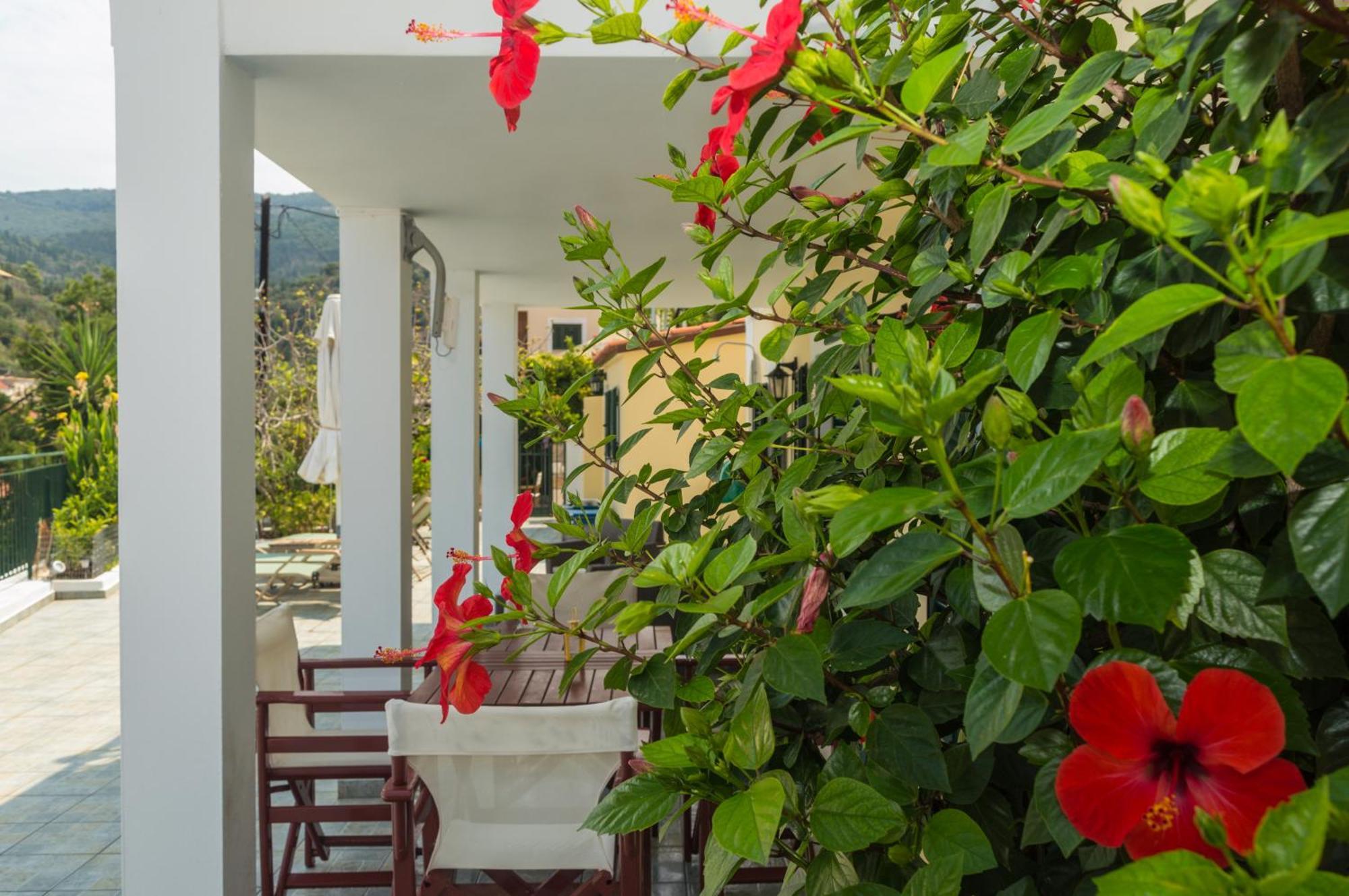 Dionos Villa Асос Екстер'єр фото